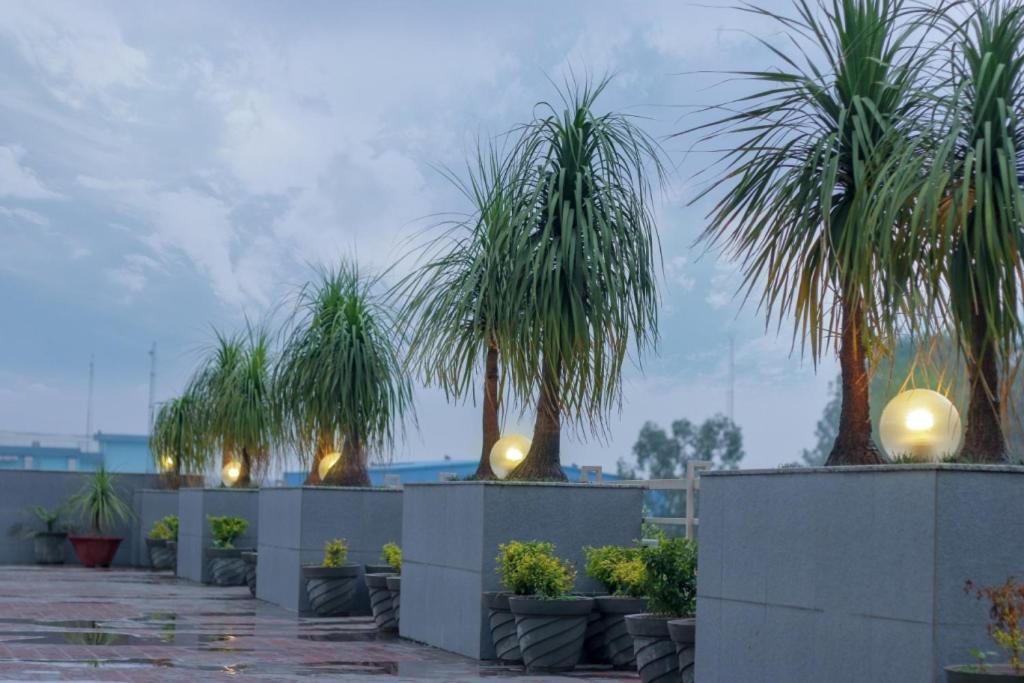 Hotel Mg Regency Baddi Zewnętrze zdjęcie